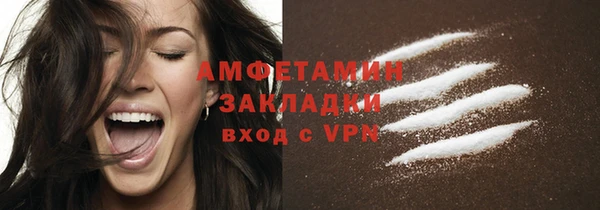 сатива Ельня