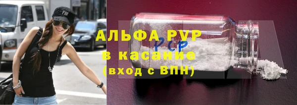 сатива Ельня
