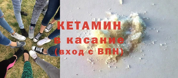 сатива Ельня