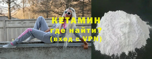 сатива Ельня
