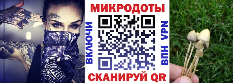купить наркоту  blacksprut вход  Галлюциногенные грибы Cubensis  Ефремов 