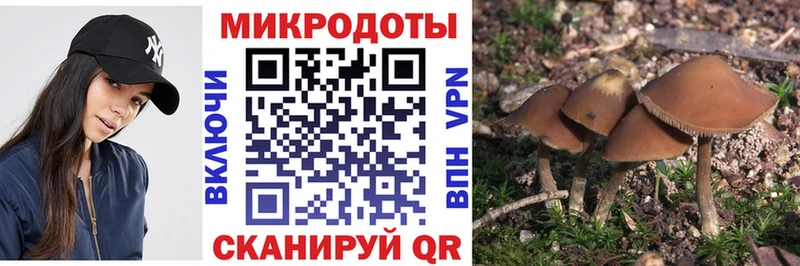 Псилоцибиновые грибы GOLDEN TEACHER Ефремов