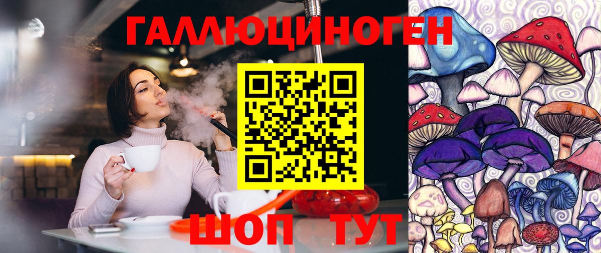Ефремов  Галлюциногенные грибы GOLDEN TEACHER  Вход с VPN 